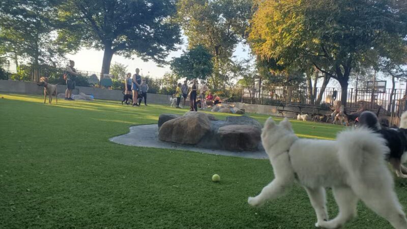 Carl Schurz Park Dog Runs - New York, NY