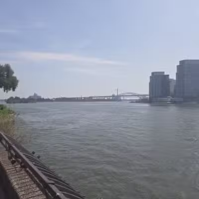 Carl Schurz Park Dog Runs - New York, NY