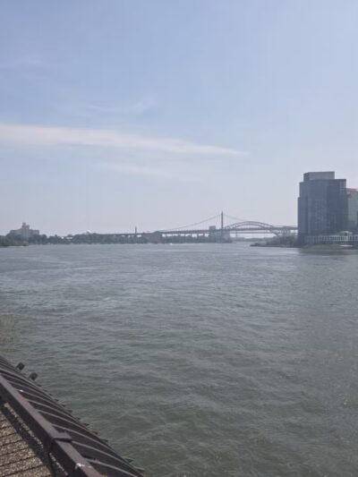 Carl Schurz Park Dog Runs - New York, NY