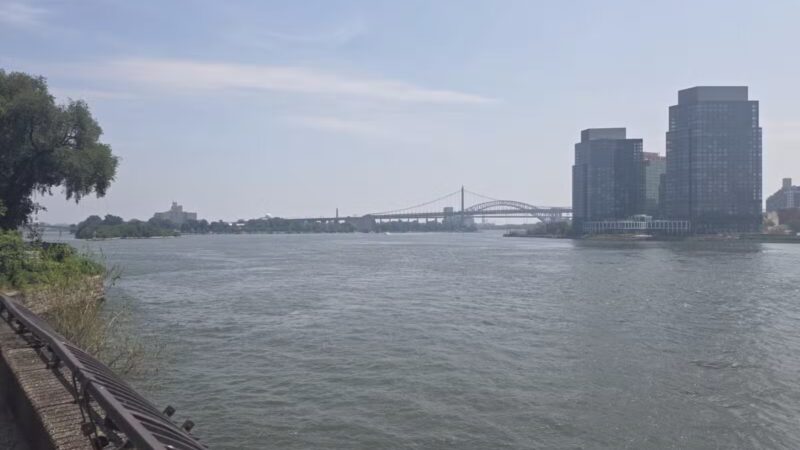 Carl Schurz Park Dog Runs - New York, NY