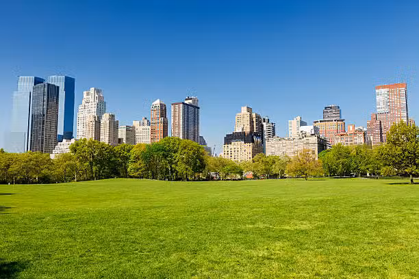 Central Park - New York,
