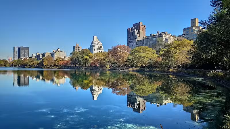 Central Park - New York,
