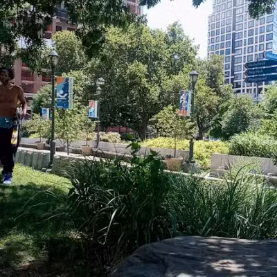 Chelsea Waterside Dog Park - New York,