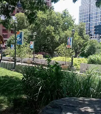 Chelsea Waterside Dog Park - New York,