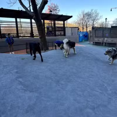 Chelsea Waterside Dog Park - New York,