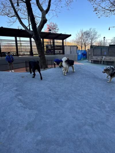 Chelsea Waterside Dog Park - New York,