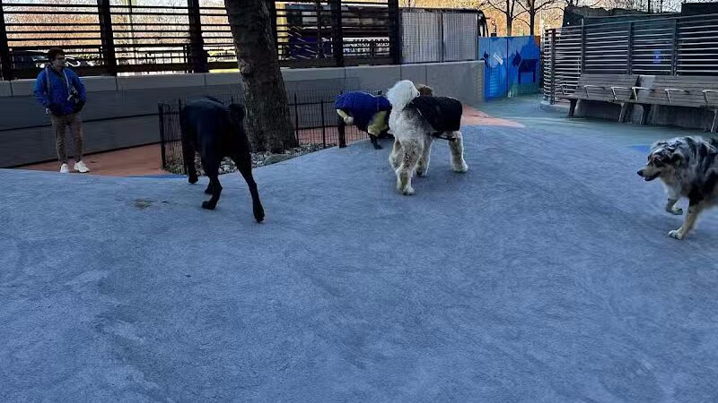 Chelsea Waterside Dog Park - New York,