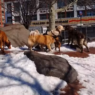 Chelsea Waterside Dog Park - New York,