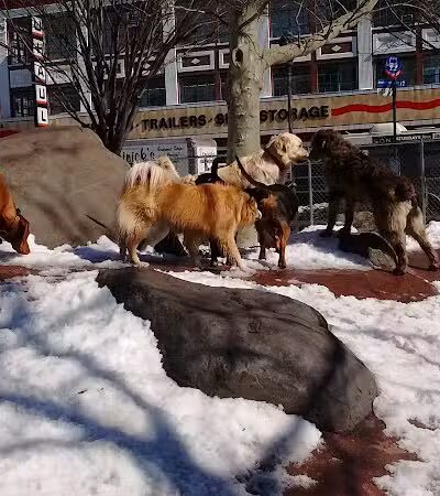 Chelsea Waterside Dog Park - New York,