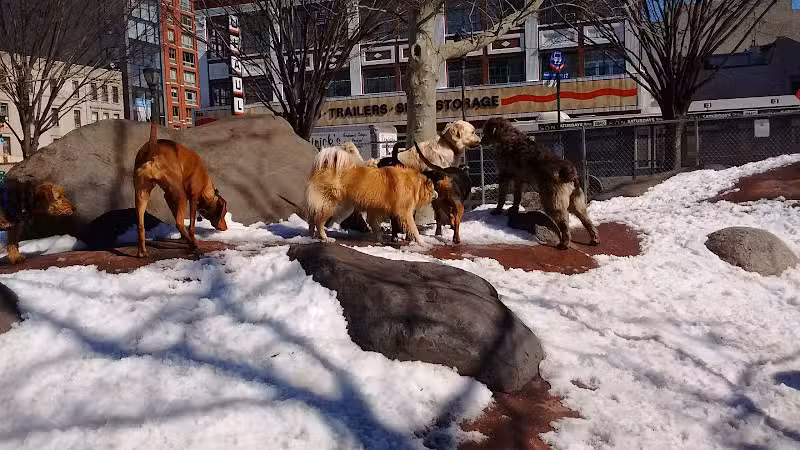 Chelsea Waterside Dog Park - New York,