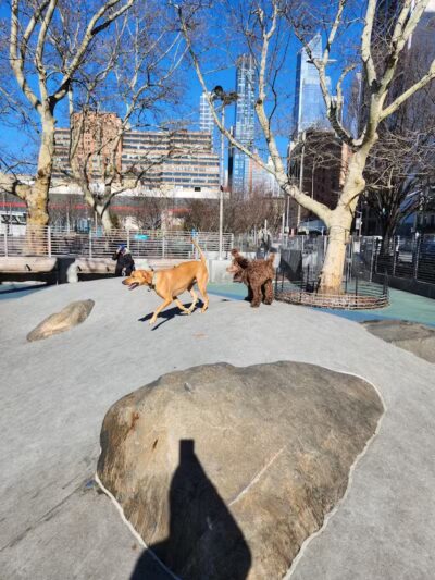 Chelsea Waterside Dog Park - New York,