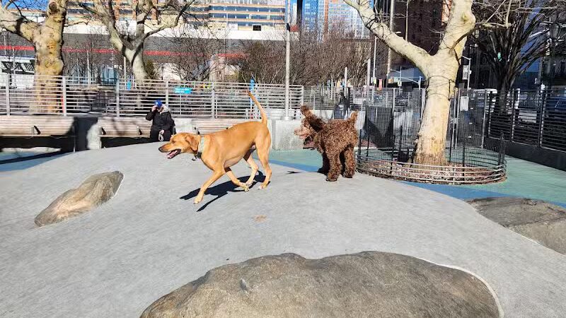 Chelsea Waterside Dog Park - New York,