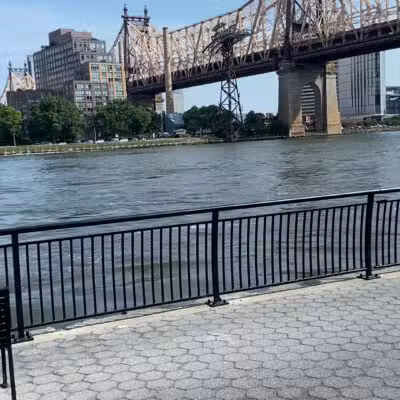East River Esplanade Dog Run - New York, NY