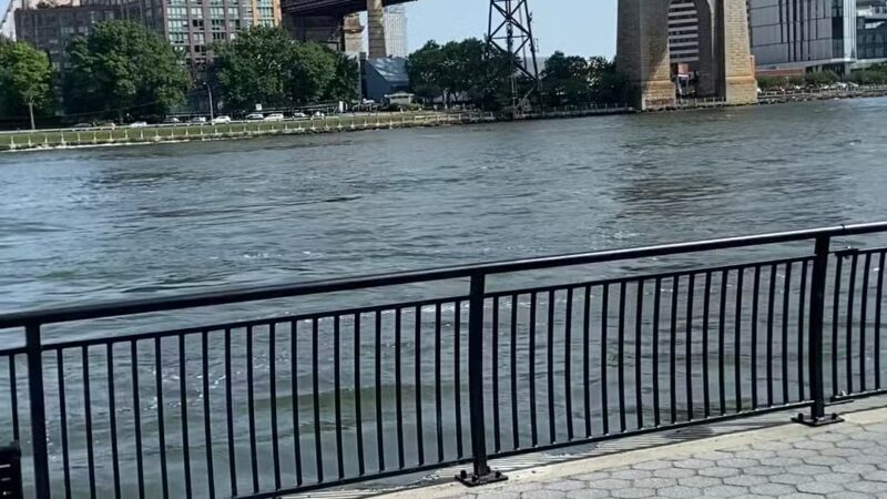 East River Esplanade Dog Run - New York, NY