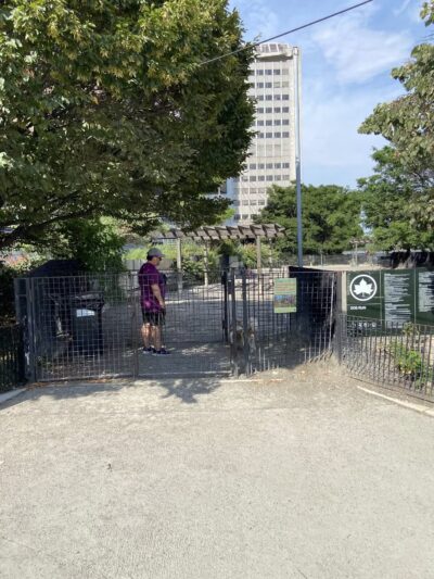 East River Esplanade Dog Run - New York, NY