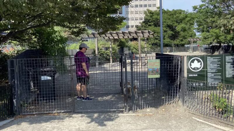 East River Esplanade Dog Run - New York, NY
