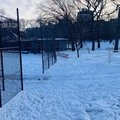 J. Hood Wright Park Dog Run - New York, MI