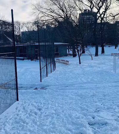 J. Hood Wright Park Dog Run - New York, MI