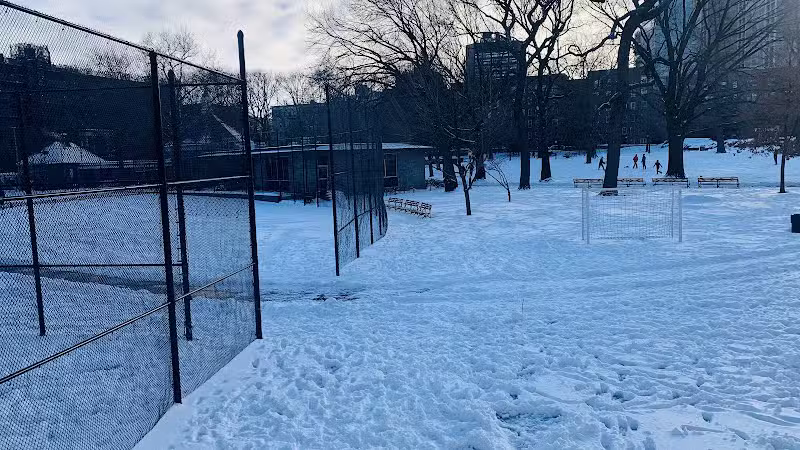 J. Hood Wright Park Dog Run - New York, MI
