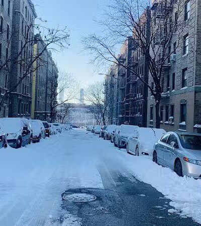 J. Hood Wright Park Dog Run - New York, MI