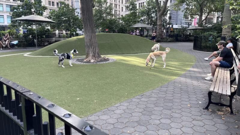 Jemmy's Dog Run - New York, NY