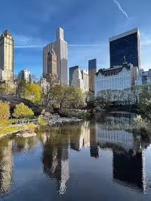 Central Park - New York,