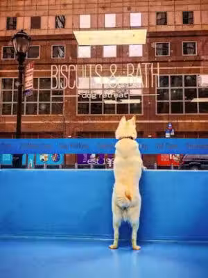Biscuits & Bath - Battery Park - New York, NY