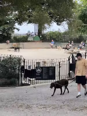 Carl Schurz Park Dog Runs - New York, NY