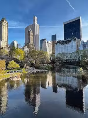 Central Park - New York, NY