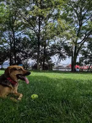 Chelsea Waterside - New York, NY