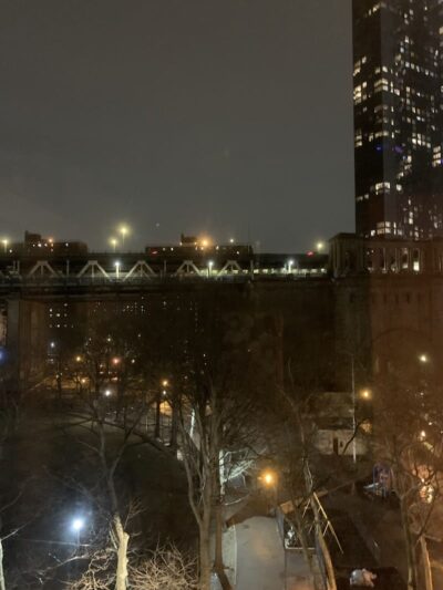 Coleman Oval Dog Run - New York, NY