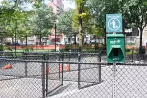 Coleman Oval Dog Run - New York, NY