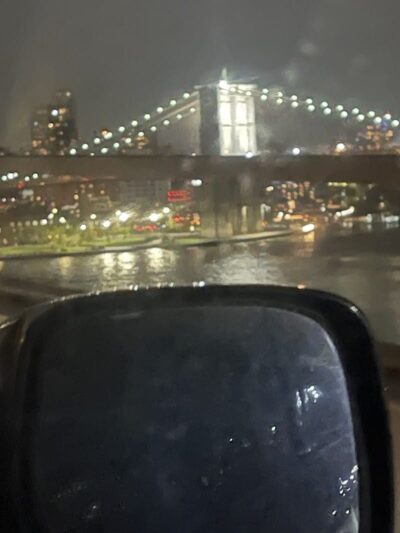 Coleman Oval Dog Run - New York, NY