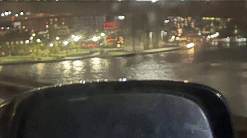 Coleman Oval Dog Run - New York, NY