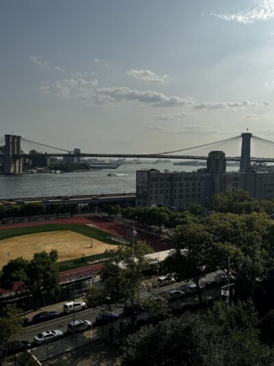 Coleman Oval Dog Run - New York, NY