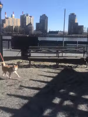East River Esplanade Dog Run - New York, NY
