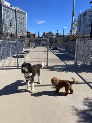 Gansevoort Peninsula Small Dog Park - New York, NY