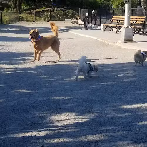 J. Hood Wright Park Dog Run - New York, NY