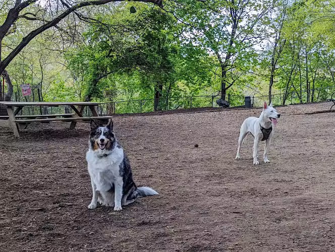 Morningside Park Dog Run - New York, NY