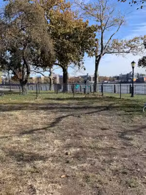 Octagon Dog Run - New York, NY