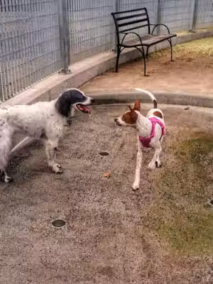 Pier 26 at Hudson River Park - New York, NY