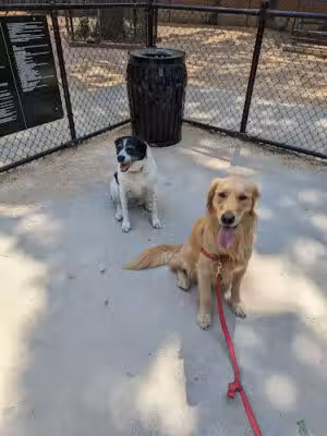 Theodore Roosevelt Park - New York, NY