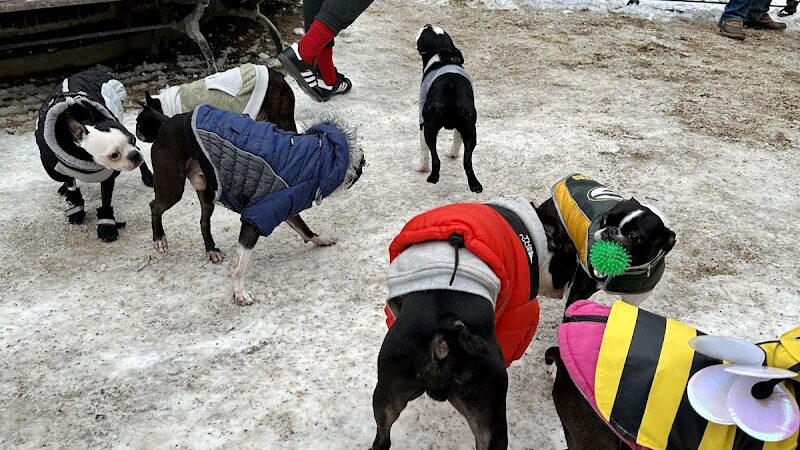 Washington Square Park Dog Run - New York, NY