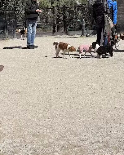 Washington Square Park Dog Run - New York, NY