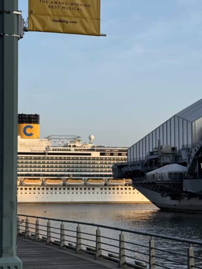 Pier 84 Dog Run - New York, NY