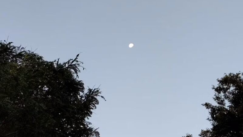 Pier 84 Dog Run - New York, NY