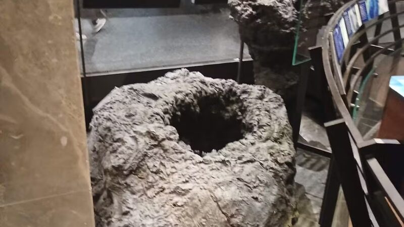 Theodore Roosevelt Park - New York, NY