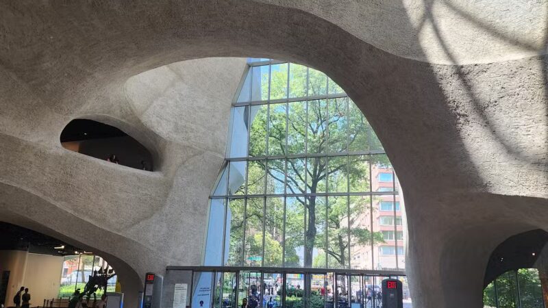 Theodore Roosevelt Park - New York, NY