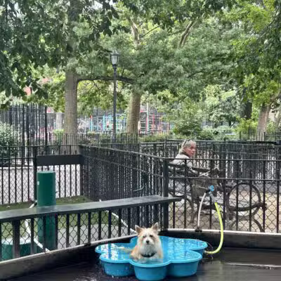 Tompkins Square Dog Run - New York, NY