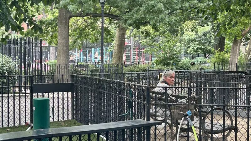 Tompkins Square Dog Run - New York, NY